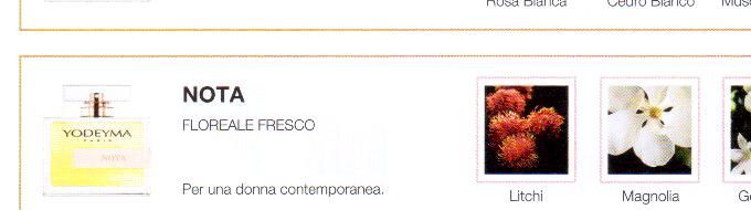 Descrizione —
Il meraviglioso accostamento del litchi come nota di testa e l'essenza floreale del gelsomino danno vita a questo enigmatico profumo.
Note Olfattive —
Floreale, Fresca
Nota è un profumo dinamico.
Per una donna contemporanea.
Note di Testa, sono le prime del profumo a essere apprezzate.
Note di Cuore, rappresentano l'anima del profumo.
Note di Fondo, danno profondità al profumo.

Nota di Testa

Litchi

Nota di Cuore

Magnolia

Nota di Fondo

Gelsomino
