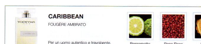 Descrizione —
I toni stabili del bergamotto e la lavanda definiscono una virilità classica che diventa moderna grazie alla nota leggera dell'ambra. 
Note Olfattive —

Fougère Ambery
Caribbean è un profumo fresco per un uomo autentico e travolgente
Note di Testa, sono le prime del profumo a essere apprezzate.
Note di Cuore, rappresentano l'anima del profumo.
Note di Fondo, danno profondità al profumo.

Nota di Testa

Bergamotto

Nota di Cuore

Pepe rosa

Nota di Fondo

Legno

