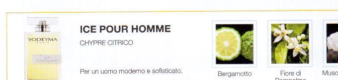 Descrizione —
Lo spirito fresco delle note esperidate e l'equilibrata composizione dai tocchi polverosi, rendono questo profumo adatto a un uomo contemporaneo.
Note Olfattive —
Citrica, Aromatica
Ice pour Homme è un profumo attuale e fresco.
Per un uomo moderno e sofisticato.
Note di Testa, sono le prime del profumo a essere apprezzate.
Note di Cuore, rappresentano l'anima del profumo.
Note di Fondo, danno profondità al profumo.

Nota di Testa

Bergamotto

Nota di Cuore

Fiore di Pompelmo

Nota di Fondo

Muschio bianco

