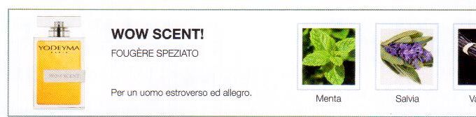 Descrizione —

Un profumo carico di note aromatiche che trasmette un carattere magnetico e squisitamente maschile.
Note Olfattive —

Fougère - speziato  
Wow Scent! è un profumo maschile per una persona estroversa ed allegra.  
Note di testa, sono le prime che si percepiscono nel profumo.
Note di cuore, sono l'anima del profumo.  
Note di fondo, sono quelle che conferiscono profonditá al profumo.

Nota di Testa

Menta

Nota di Cuore

Salvia

Nota di Fondo

Vaniglia
